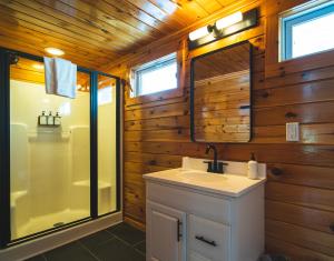 a bathroom with a shower and a sink and a mirror at Wolfjaw Lodge in Wilmington +59 photos