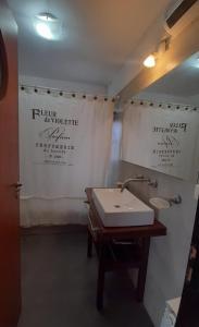 a bathroom with a sink and a white shower curtain at Casa Viva - Tafi del Valle in Tafí del Valle