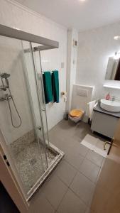 a bathroom with a shower and a toilet and a sink at Malom Fogadó in Balatonboglár +16 photos