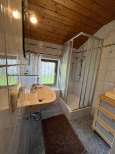 a bathroom with a sink and a shower at Widernhof in Prien am Chiemsee