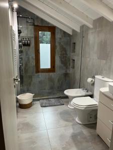 a bathroom with a toilet and a sink and a shower at Complejo EL PAÑIL in Lago Puelo +76 photos