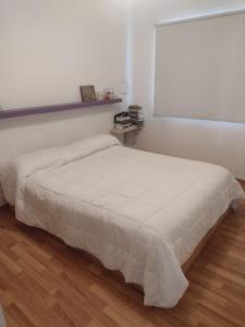 a bedroom with a bed with a white blanket at Casa céntrica con piscina in Paraná