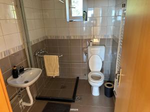 a small bathroom with a toilet and a sink at Villa Kalin Kamen in Kriva Palanka +11 photos