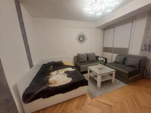 a bedroom with a large bed and a couch at Angela Apartments in Bitola
