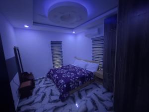 a bedroom with a bed in a blue room at Royal Homes Shortlet Apartment in Rumurolu