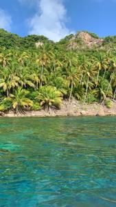 Photo de la galerie de l'établissement Posada Lia Centro, à Île de la Providence