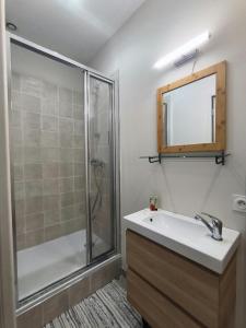 een badkamer met een douche en een wastafel bij Dina chic calme cosy in Saint Etienne