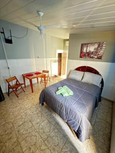 een slaapkamer met een bed en een tafel bij Ótima suíte privativa no Centro Histórico in Goiás