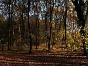 Billede fra billedgalleriet på 5 person holiday home in Kolind-By Traum i Kolind