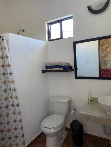 a bathroom with a toilet and a sink and a mirror at Tierra Linda in León