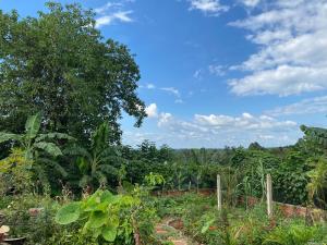 un jardin avec des arbres et un ciel bleu dans l'établissement Misuti Home, à Buôn Dhă Prŏng