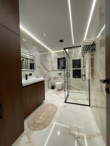 a bathroom with a shower and a sink and a toilet at Brand New Apartment Obour City in Obour