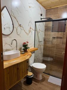 a bathroom with a toilet and a sink and a shower at Chalé Black Touch in Santo Antônio do Pinhal