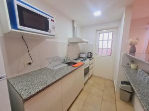 una piccola cucina con lavello e microonde di DEPARTAMENTO EN EL CENTRO DE NEUQUEN DE UN DORMiTORIO a Neuquén Altre 3 foto