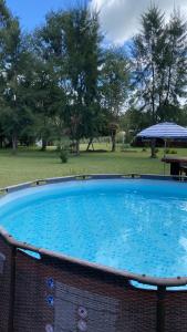 een groot blauw zwembad in een park bij La Alegría in Alegre