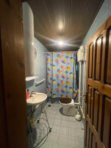 une salle de bain avec un rideau de douche et un lavabo dans l'établissement Mehov Han Hostel, à Plav