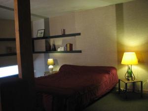 ein Schlafzimmer mit einem Bett, einer Lampe und Regalen in der Unterkunft Duplex Carreyrou in Beaumont-du-Périgord