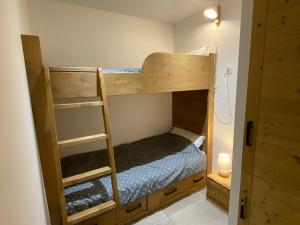 a bedroom with two bunk beds with a ladder at Chalet 8 pers 4* à Valloire, Wifi, parking - FR-1-263-601 in Valloire