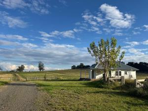une petite maison blanche dans un champ avec un arbre dans l'établissement Beltane Cottage, à Canyonleigh