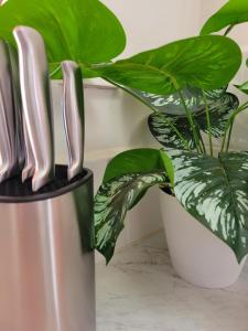 Afbeelding uit fotogalerij van Corella Accommodation 1C, everything you need in Boulder