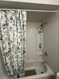 ウィニペグにあるElegant & Stylish Basement Suite- Private Entranceのバスルーム(バスタブ、シャワーカーテン付) +28枚の写真