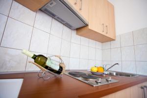 Küche/Küchenzeile in der Unterkunft Apartment Sangaleti