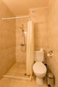 ein Bad mit einem WC und einer Dusche in der Unterkunft Hotel Terazini in Weliko Tarnowo