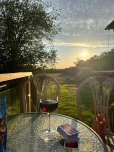 a glass of wine sitting on a table with a book at Sjötorps Säteris Bed & Breakfast Flygeln in Larv