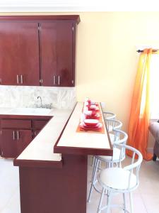 una cocina con una mesa con platos rojos. en Mangrove Cay Sea View Villas, en Behring Point