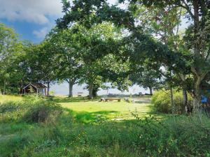 een park met bomen en een picknicktafel in een veld bij Idyllic Family Retreat Close to the Sea in Ronneby