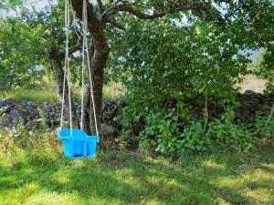 een blauwe schommel hangend aan een boom in een veld bij Idyllic Family Retreat Close to the Sea in Ronneby +21 foto's
