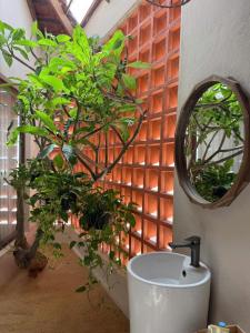 a bathroom with a sink and a mirror and plants at Tổ Ong Kiến Bình Định in Dương Liễu (2) +17 photos