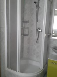 a shower with a glass door in a bathroom at Ferienhaus am Radweg in Brotterode-Trusetal
