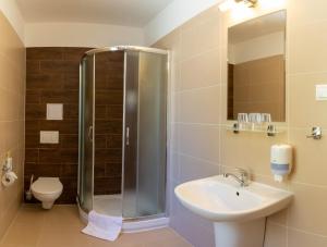 a bathroom with a shower and a sink and a toilet at Lopušná dolina Resort in Vysoké Tatry