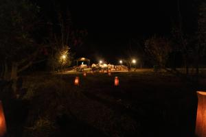 Una vista nocturna de una mesa con luces en un campo. en Akagera Safari Camp, en Kigali