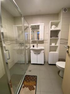 a bathroom with a shower and a sink and a toilet at Panoramic View Apartment in Kragujevac