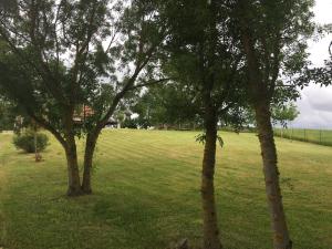 two trees in a field with a house in the background at Cozy French Escape in Monfort in Monfort