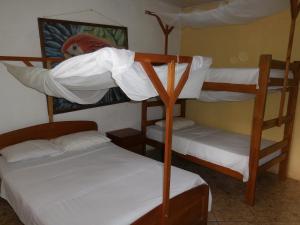 Postel nebo postele na pokoji v ubytování Tambopata Hostel