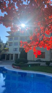Un edificio con el sol brillando a través de un árbol. en Sea View Apartment in Byala, en Byala
