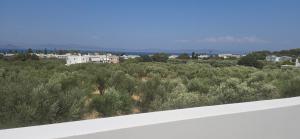 Gallery image of Olive Paradise Maison in Kos Town
