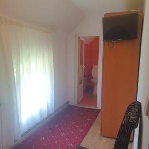 a bathroom with a toilet and a television in a room at Casa Cornelia in Bran