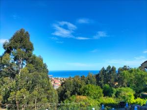 a view of the ocean from a hill with trees at Salinas en el horizonte in Salinas