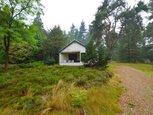 una pequeña casa en medio de un campo en Cosy Holiday Home in Maarheeze with Verandah, en Maarheeze