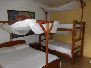 Postel nebo postele na pokoji v ubytování Tambopata Hostel
