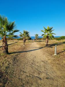 eine unbefestigte Straße mit Palmen am Strand in der Unterkunft Mini Villa 200 m de la plage in Cervione + 7 Fotos