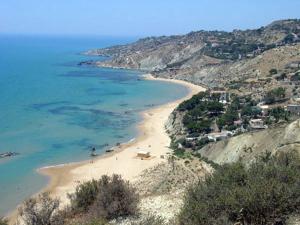 Táj Show holiday homes közelében