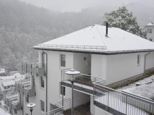 Magnificent Apartment in Willingen with Balcony v zimě