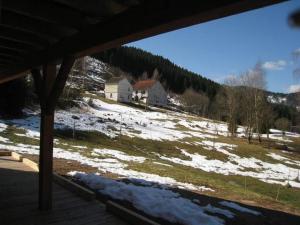 Příroda nedaleko chaty