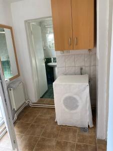 Η κουζίνα ή μικρή κουζίνα στο Elizabeta Apartment