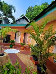 a courtyard with palm trees and a building at BAHIA Guesthouse in Siquijor